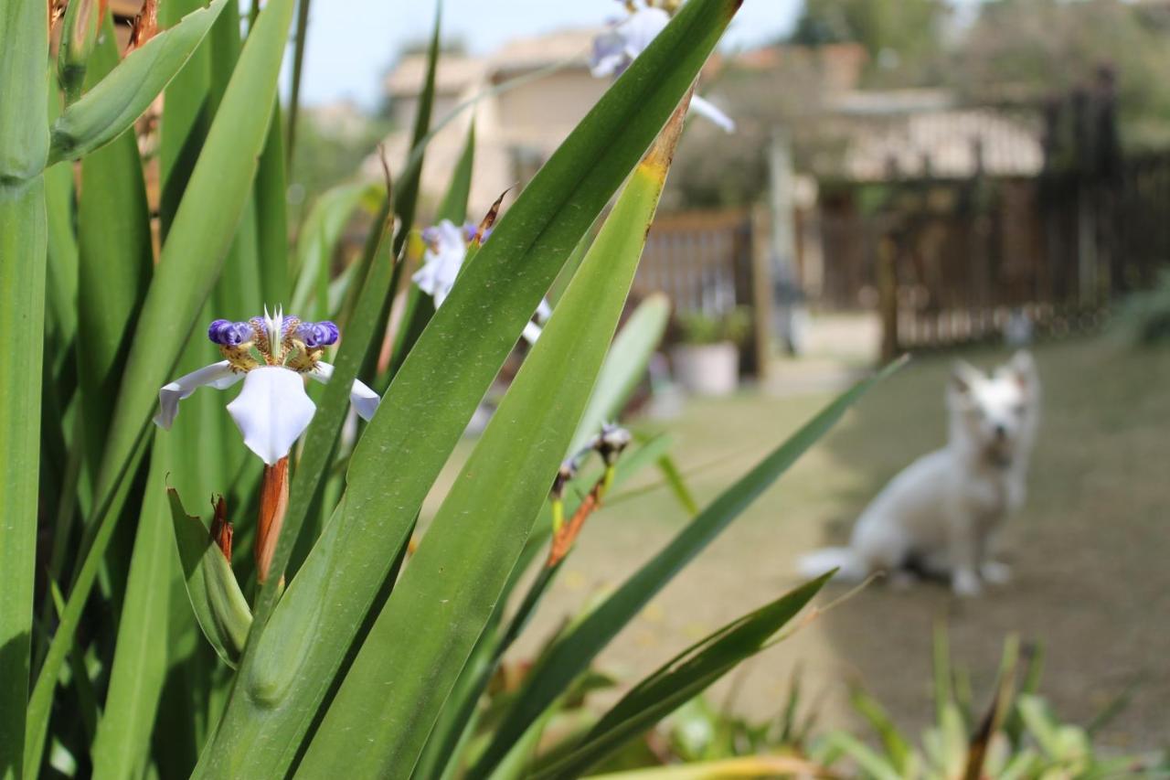 Kanaloa Vibe Stay Praia do Rosa Zewnętrze zdjęcie